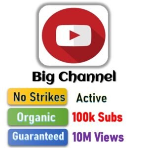 Youtube Big Channel - 100,000 Subs + 10,000,000 Views